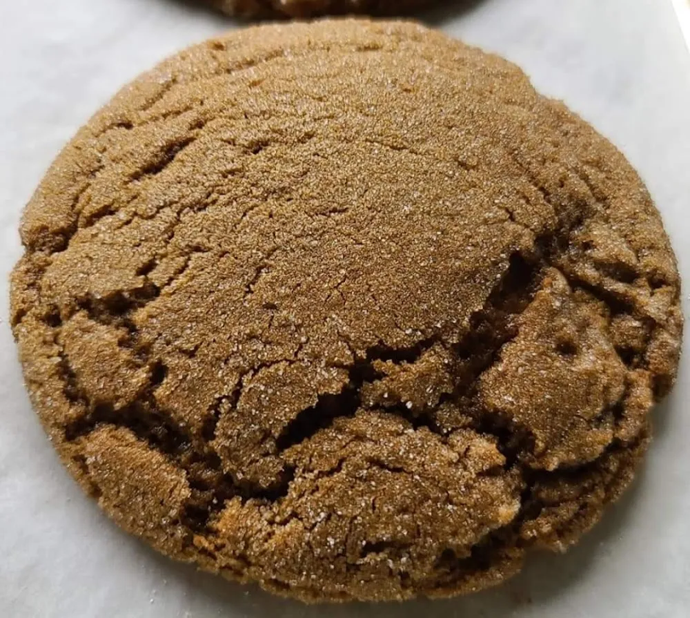 Ginger Snap